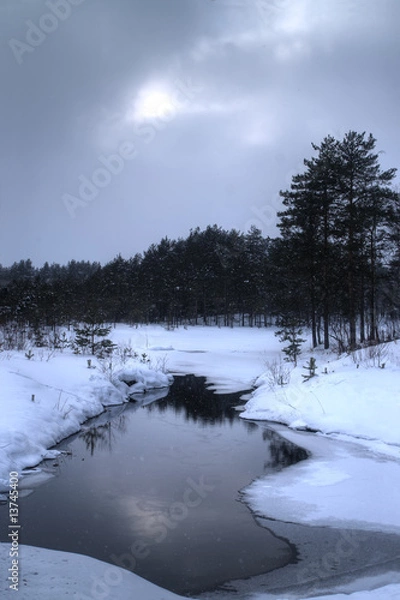 Fototapeta Dark winter landscape
