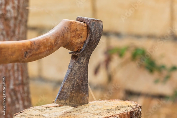 Obraz An axe stuck into a stump