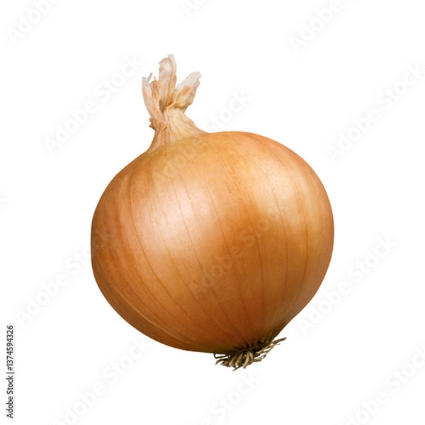 Obraz Fresh onions, onion pictures, onion products, healthy onions, onion advertisement, high quality onion slices.