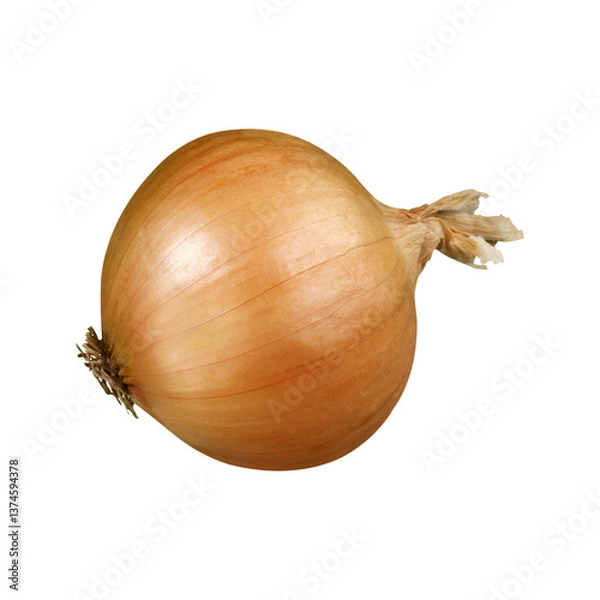 Obraz Fresh onions, onion pictures, onion products, healthy onions, onion advertisement, high quality onion slices.
