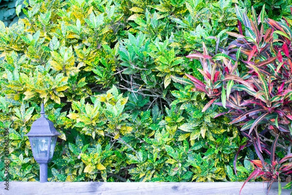 Fototapeta lamp in the garden