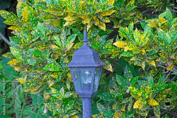 Obraz lamp in the garden