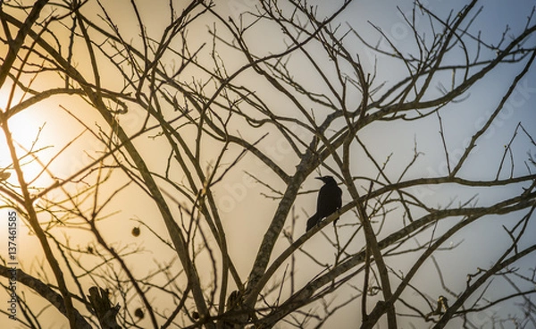 Obraz A bird on a tree