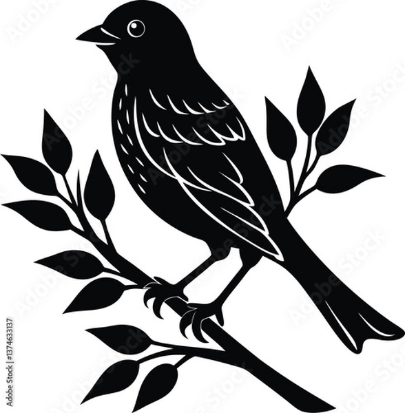 Fototapeta black silhouette of a bird sitting on a tree