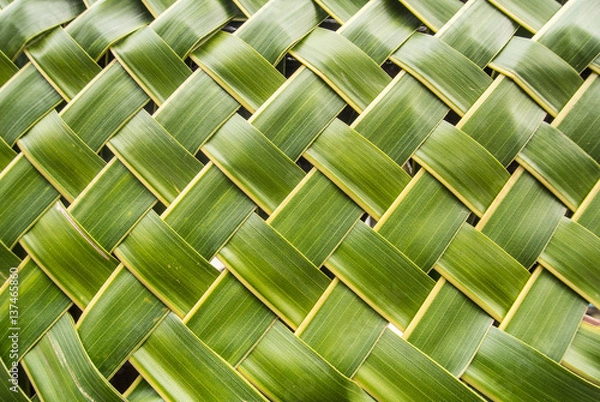 Obraz Natural texture made from coconut leaf.