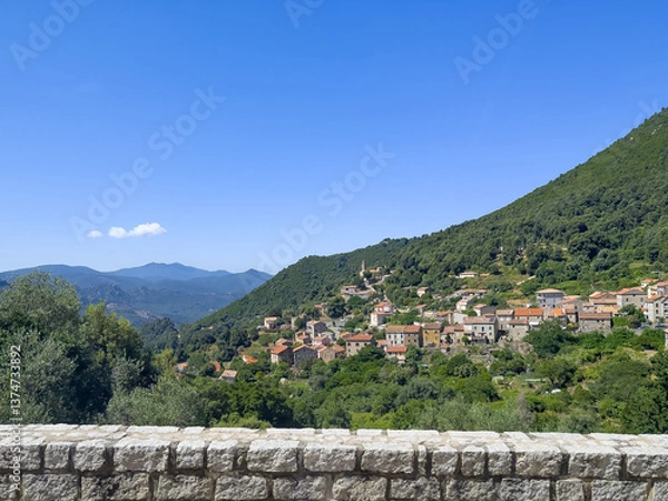 Fototapeta Ocana, Corsica, France - July 8, 2024: Green mountain landscape. Over a steep canyon, look from one side of the village to the other side. Residential buildings with red roofs