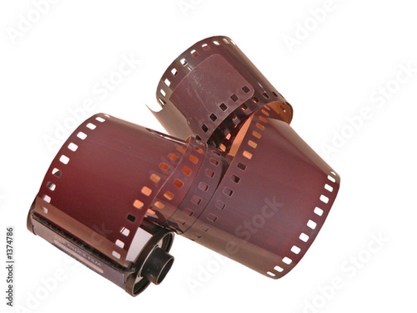 Fototapeta dinosaurier