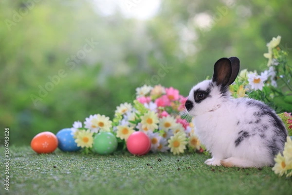 Fototapeta Lovely bunny easter fluffy rabbit eating green grass with a basket full of colorful flowers and easter eggs on green garden nature background on warming spring day. Symbol of easter day festival.