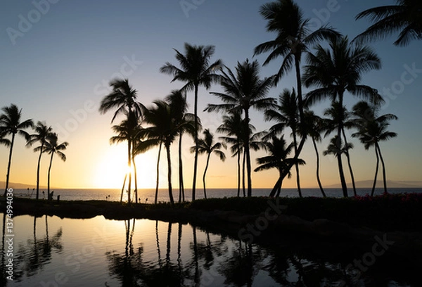 Fototapeta Silhouette of tropical palm trees reflecting in a lagoon on the beaches of Maui, Hawaii