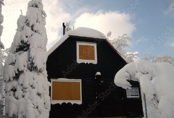 Fototapeta Winterdreams