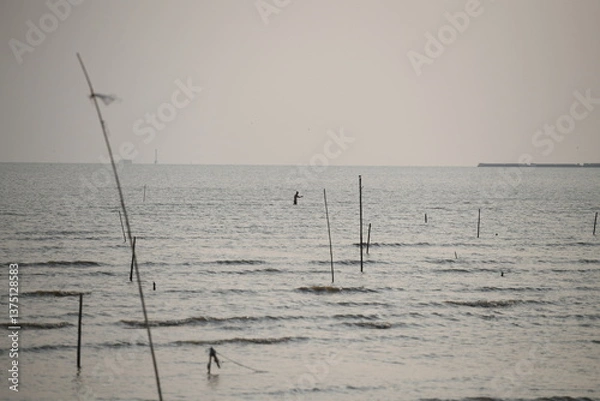 Fototapeta A lone figure stands knee-deep in the vast, rippling sea, surrounded by wooden poles marking the shallow waters of an aquaculture farm, stretching towards a hazy horizon