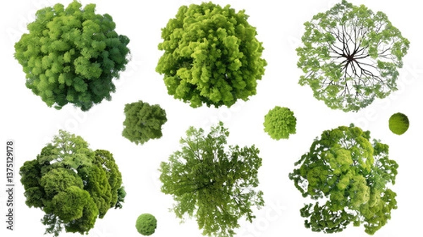 Fototapeta Top-Down Trees: A captivating aerial view captures the vibrant canopy of various trees, showcasing intricate foliage patterns and rich green hues in a diverse display of natural beauty.