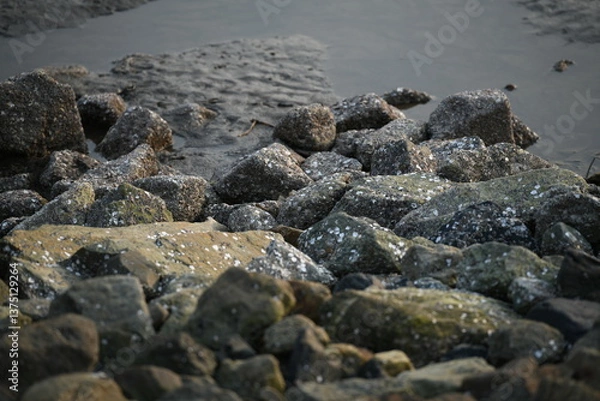 Fototapeta This close-up shot captures a dynamic arrangement of rugged, dark-hued rocks scattered along a muddy, receding shoreline or riverbank