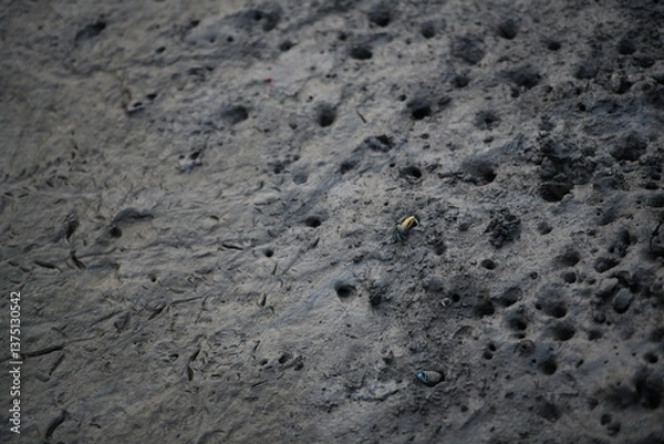 Fototapeta A detailed close-up of dark, textured mud, rich with small, irregular holes and subtle organic patterns left by receding water or hidden life
