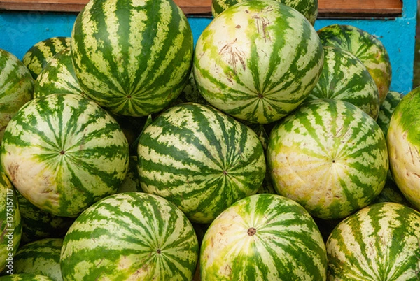 Obraz Russia: street sale of watermelons, a pile of watermelons at the counter.
