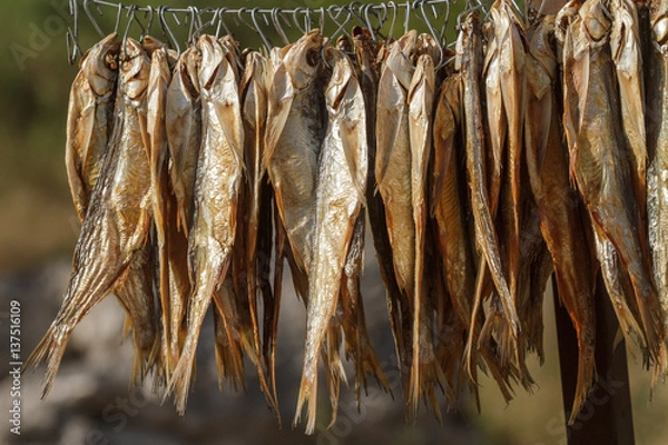 Obraz dried fish on a rope