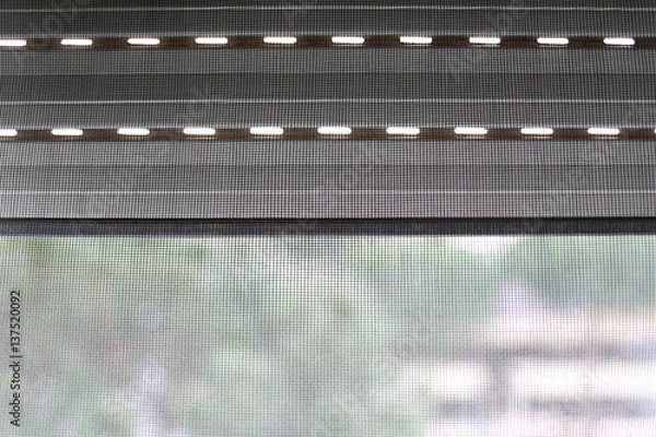 Obraz Mosquito net on a PVC window