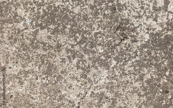 Fototapeta Background of destroyed concrete path, gray concrete, concrete texture, close-up. Natural photo. Old concrete slab