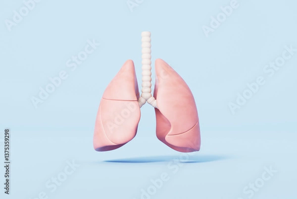 Obraz 3d rendering medical lungs in blue background