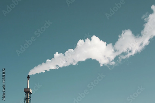 Fototapeta Industrial a pipe smokes