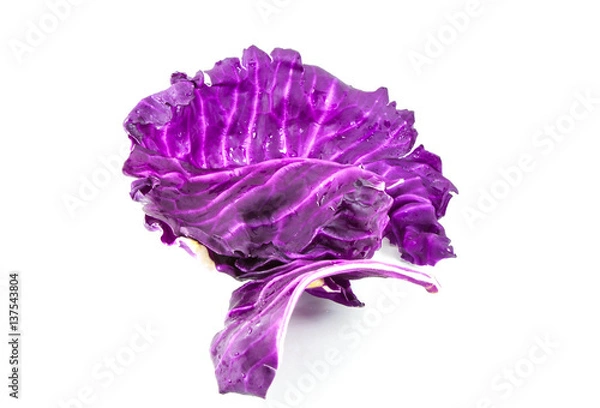 Obraz Violet cabbage on white background  