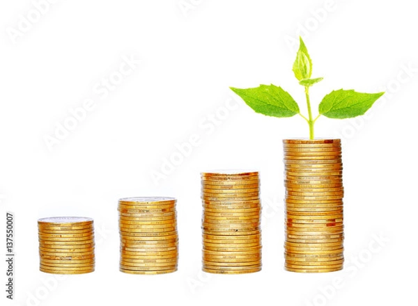 Fototapeta Many coins in column and green plant isolated on white