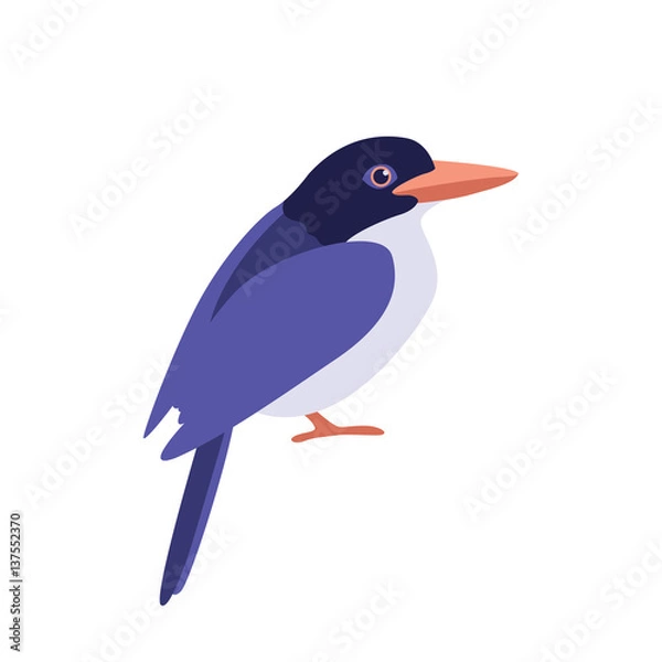 Fototapeta kingfisher bird vector illustration style Flat