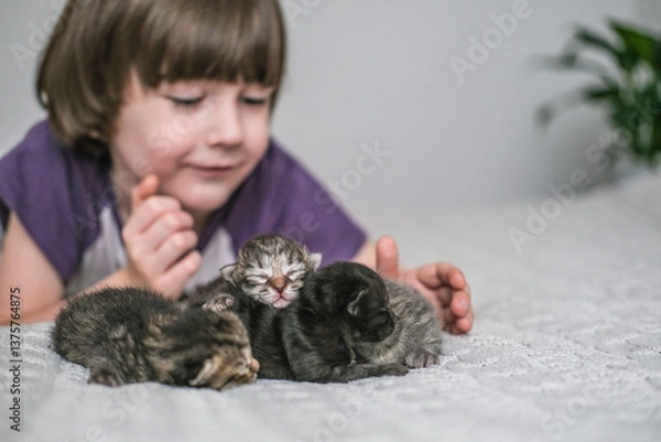 Obraz Cute newborn kittens sleeping sweetly, and in the background a little boy tenderly looking at them