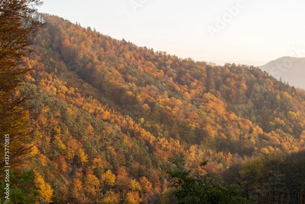 Fototapeta UNESCO Weltkulturerbe, Wachau, Aggstein, NIederösterreich, Öst