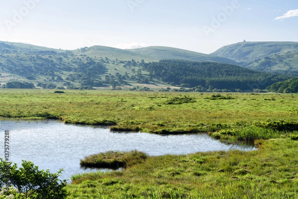 Obraz 長野県下諏訪町　夏の八島ヶ原湿原