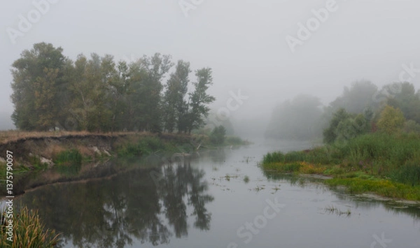Obraz morning on river