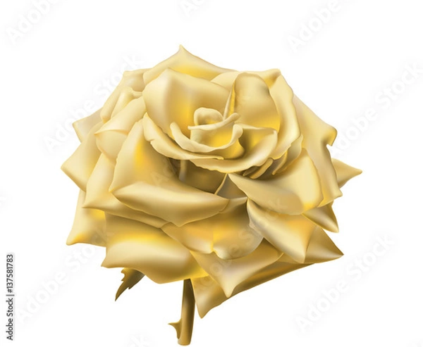 Fototapeta Gold Rose.
Hand drawn vector illustration of an open rose with glowing petals made of gold, on transparent background.