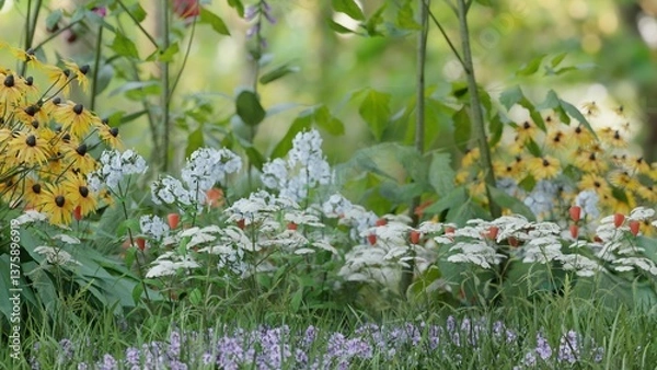 Obraz 庭先の草木の3Dイラスト