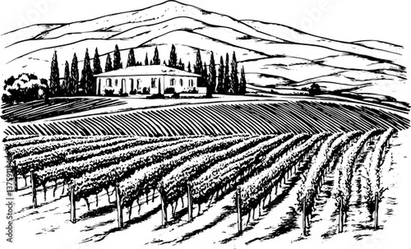 Obraz Vineyards landscapes sketched abstract digital illustration