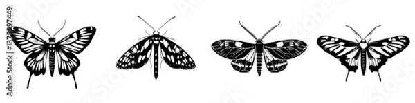 Fototapeta Various species of butterflies and moths in black and white illustration displayed side by side with detailed wing patterns