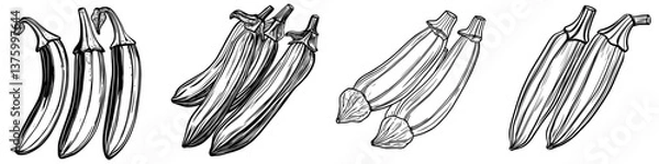 Fototapeta Detailed illustration of various okra types in black and white showcasing their distinct shapes and textures