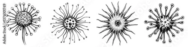Fototapeta Intricate illustrations of microorganisms displaying diverse shapes and structures from a scientific perspective