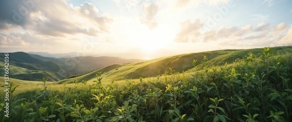 Obraz 정상의 풍경