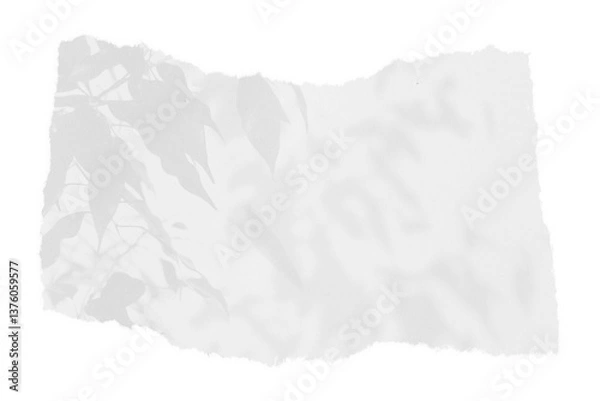 Obraz sheet of paper on a transparent background with a shadow of tree leaves