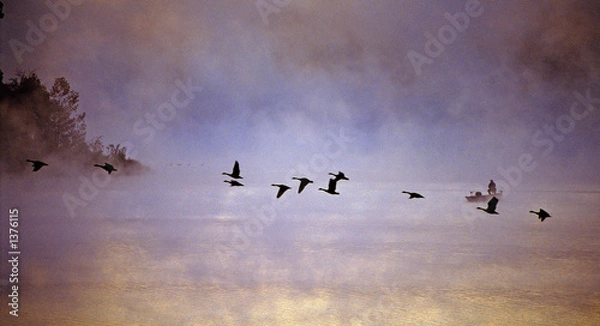 Obraz flying geese