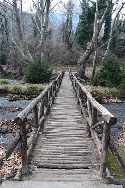 Obraz Bridge to nowhere