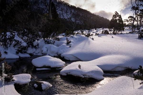 Fototapeta View of Mt. Field National Park covered in snow in winter in Tasmania, Australia