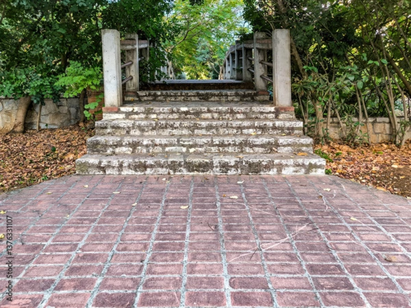 Fototapeta Steps of a small bridge under the shady green foliage of the trees. Space for your text and logo.