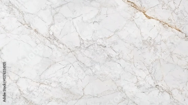 Obraz A minimalist marble texture background with a white marble surface featuring gray and black veining, natural and flowing patterns