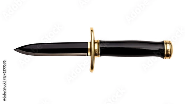 Fototapeta Elegant dagger with a black blade and golden accents displayed