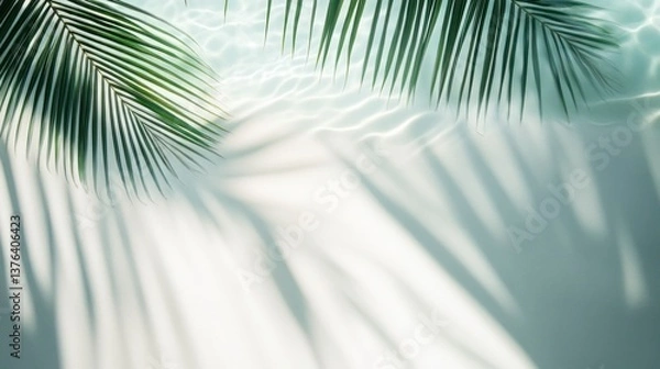 Fototapeta Palm Leaf Shadows Reflecting in Water Create a Minimalist Tranquil Scene