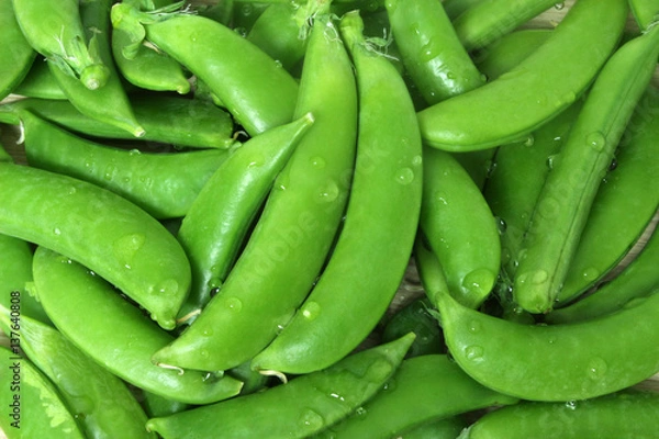 Obraz スナップえんどう