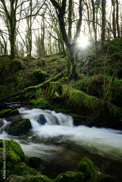 Obraz Waterfall in the forest, Goliath falls, Cornwall. 