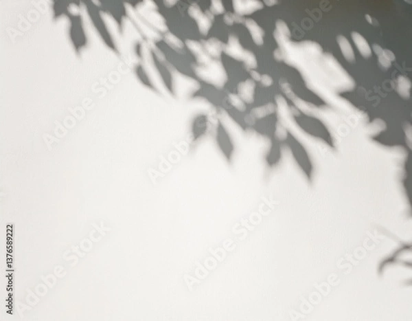 Fototapeta  high-resolution abstract image of soft natural tree leaves casting delicate shadows on a white wall background. The organic shapes create a calming, minimalist aesthetic with subtle variations in lig