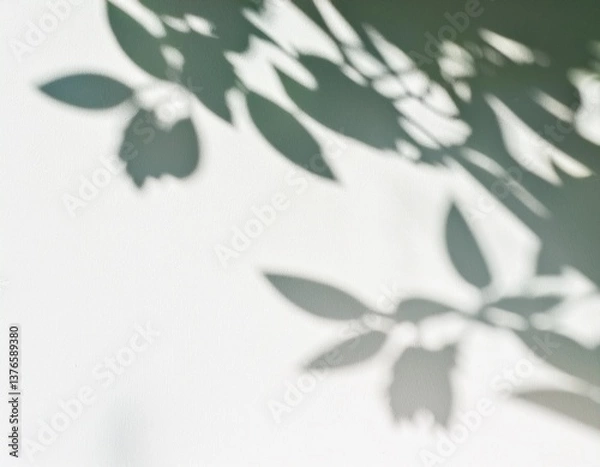 Fototapeta  high-resolution abstract image of soft natural tree leaves casting delicate shadows on a white wall background. The organic shapes create a calming, minimalist aesthetic with subtle variations in lig
